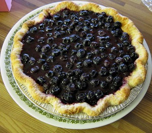 Treehouse's vegan blueberry pie